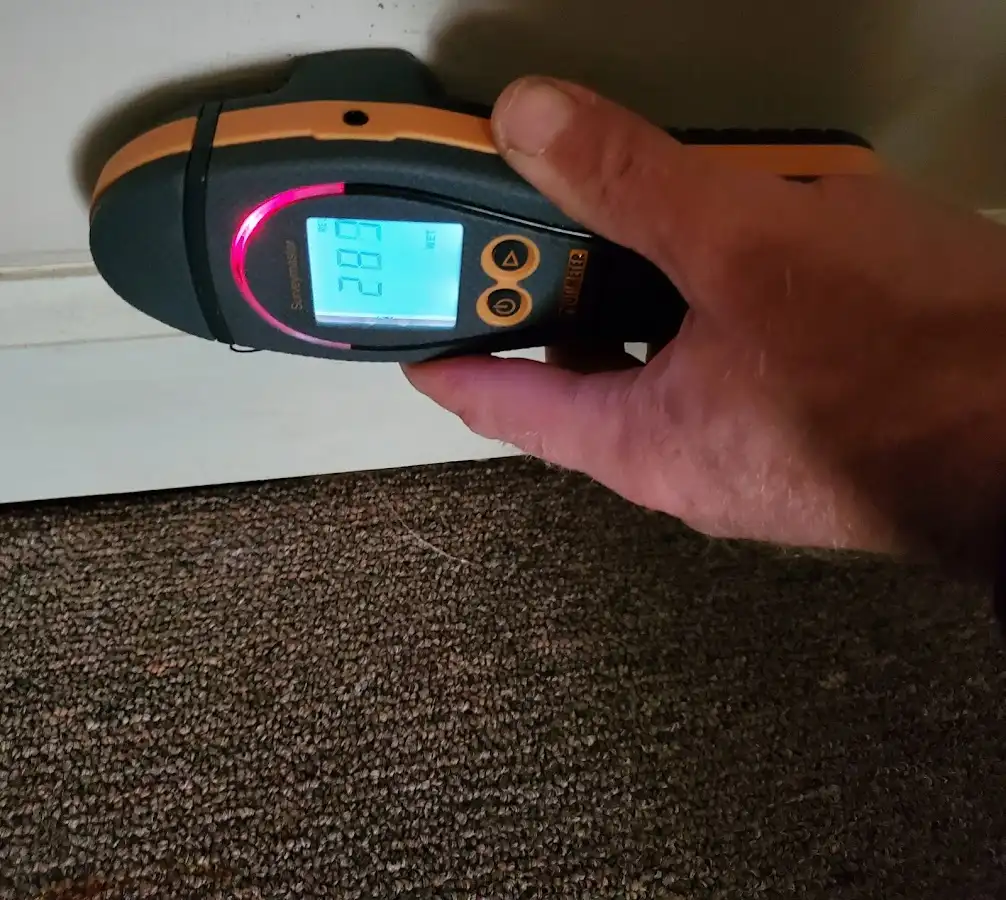 Moisture detection at baseboard during Sewage Cleanup & Sanitation in Berlin